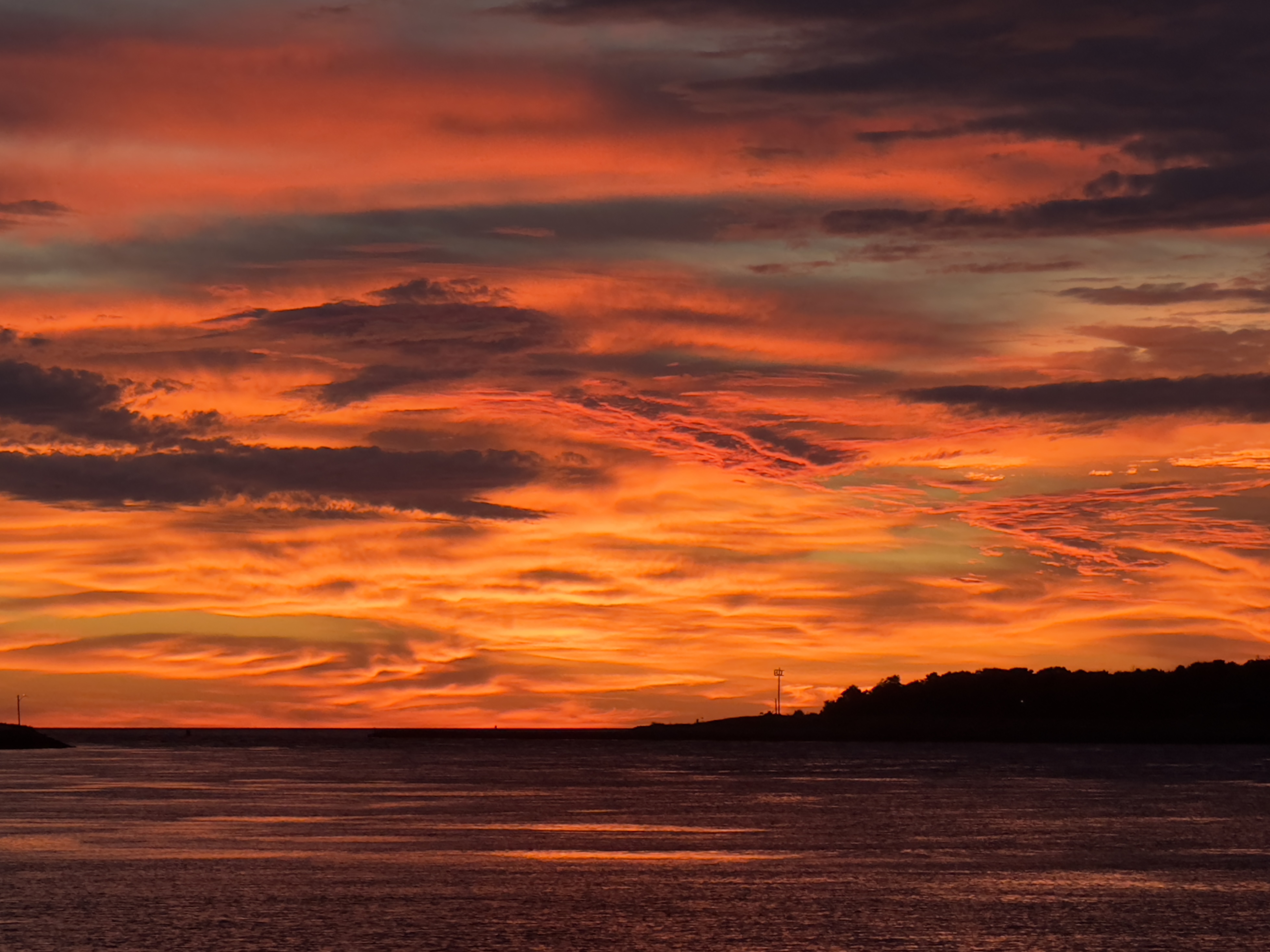 My 2025 Massachusetts Saltwater Fishing Season